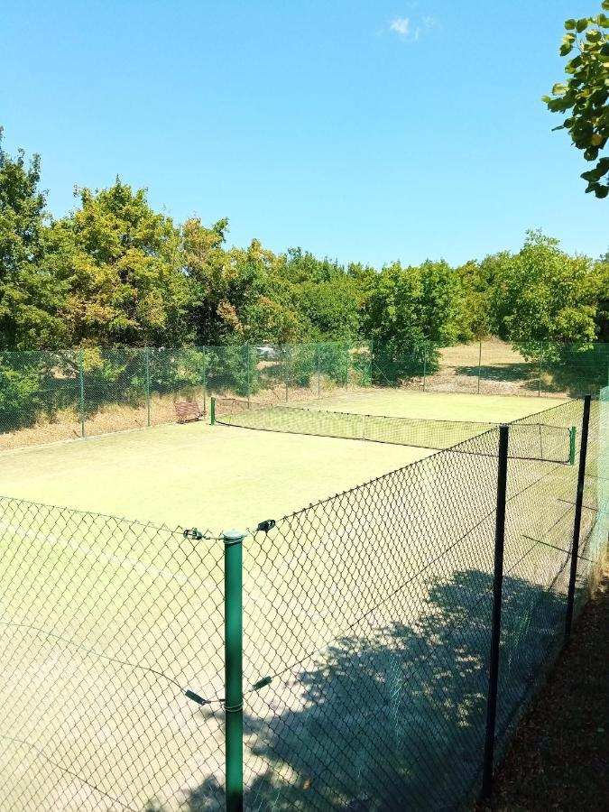 Castle House Rooms, Swimming Pool & Sauna & Tennis Court & Wine Cellar 塞扎纳 外观 照片